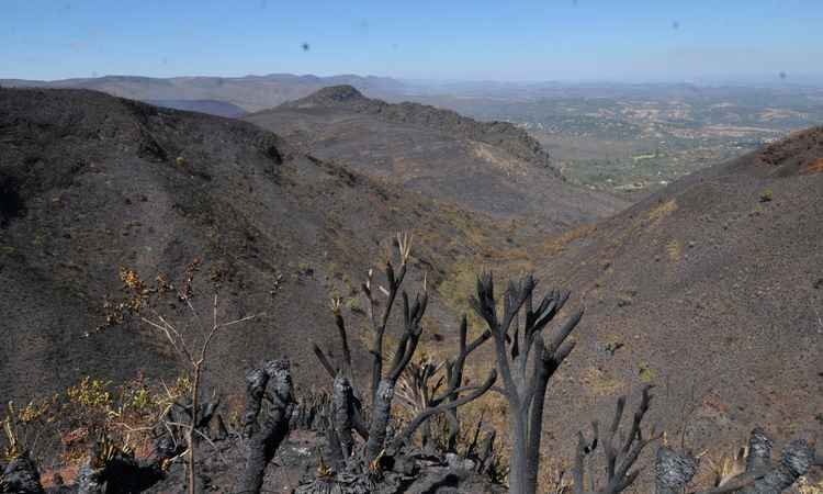 Fogo no Parque da Serra do Rola-Moça custou meio milhão aos cofres públicos - Jair Amaral/EM/D.A PRESS