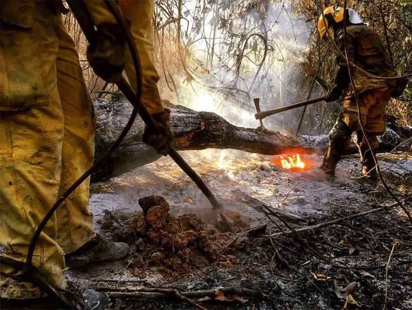 Incêndios que destruíam o Parque do Rola-Moça são controlados - Corpo de Bombeiros/Divulgação