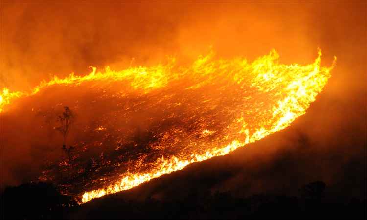 Devastação causada por incêndios florestais em Minas é a maior desde 2011 - Marcos Viveira/EM/DA Press