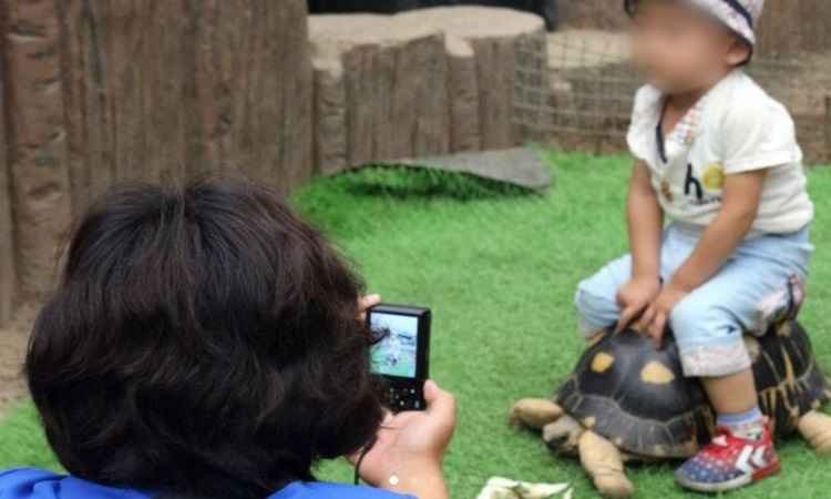 No excêntrico zoo de Kim Jong-un as pessoas podem até sentar nos bichos  - Renato Alves/CB/D.A Press 