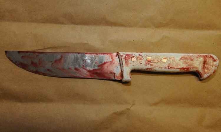 Senado abre consulta sobre tirar 'feminicídio' do código penal - Euller Junior / EM / D.A. Press