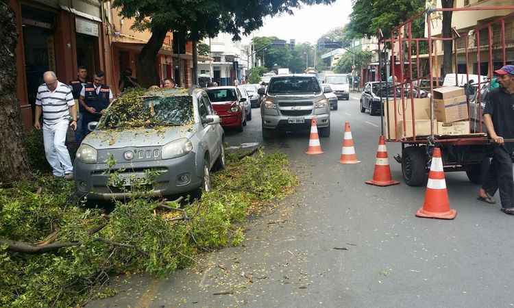 Galhos de árvore caem em carro na Rua dos Tamoios, no Centro de BH - Edésio Ferreira/ EM/ D.A Press