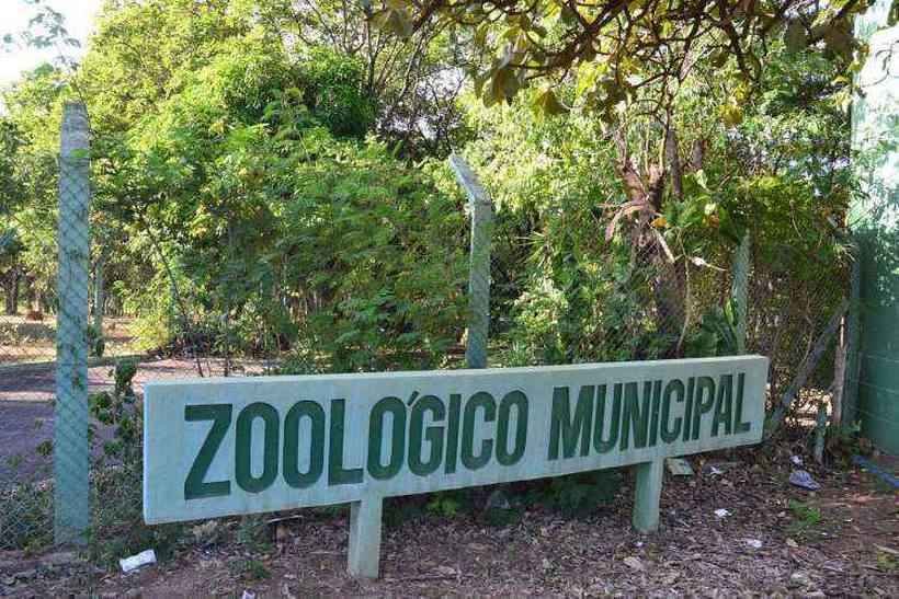 Depois de ataque de vândalos que mataram jacaré, zoológico sera desativado em Montes Claros - Fábio Marçal/Divulgação/Prefeitura de Montes Claros