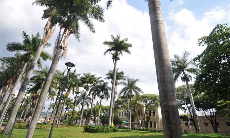 Adoção resgatou a Praça Floriano Peixoto, no Bairro Santa Efigênia - Alexandre Guzanshe/EM/DA Press