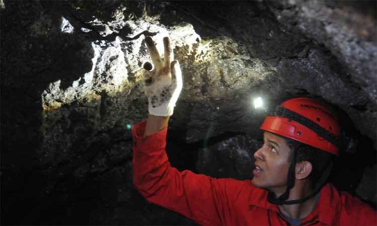 Especialista acredita que caverna em BH foi cavada por preguiça gigante - Leandro Couri/EM/DA Press