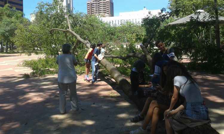 Árvore cai e assusta frequentadores da Praça da Assembleia em BH - Beto Novaes/ EM D.A Press 