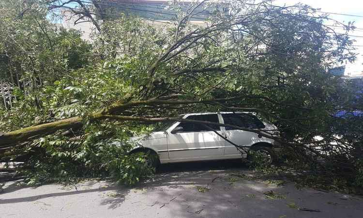 Árvore cai sobre carro estacionado e atinge rede elétrica no Bairro Barroca - Corpo de Bombeiros/Divulgação