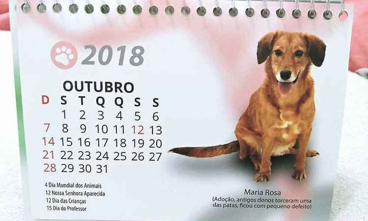 Calendário dá apoio a resgate de animais em situações degradantes - Marita Assis/divulgação