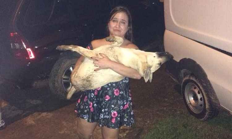 Mulher relata morte de cadela após queima de fogos de artifício no revéillon - Reprodução/Facebook