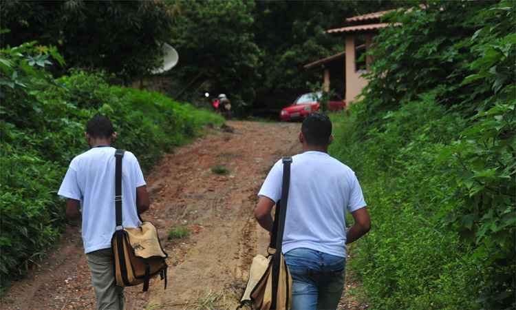 Como a falta de informação leva ao extermínio de macacos na Grande BH - Leandro Couri/EM/DA Press