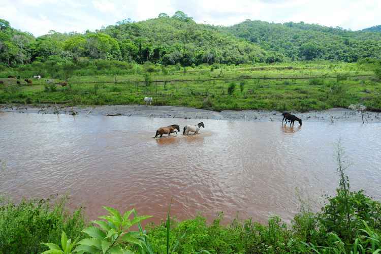 Dois anos depois do desastre em Mariana, garimpo e pasto destroem contenções de lama nos rios - Gladyston Rosrigues/EM/D.A Press