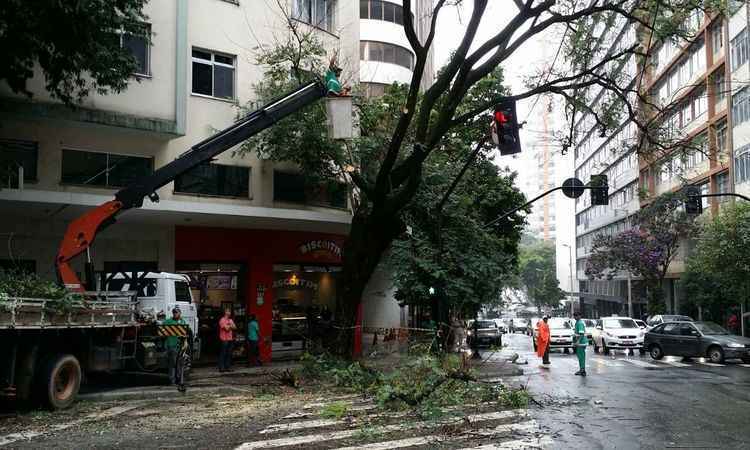 Árvore com risco de queda é cortada no Centro de BH  - Paulo Filgueiras: EM/ D.A Press