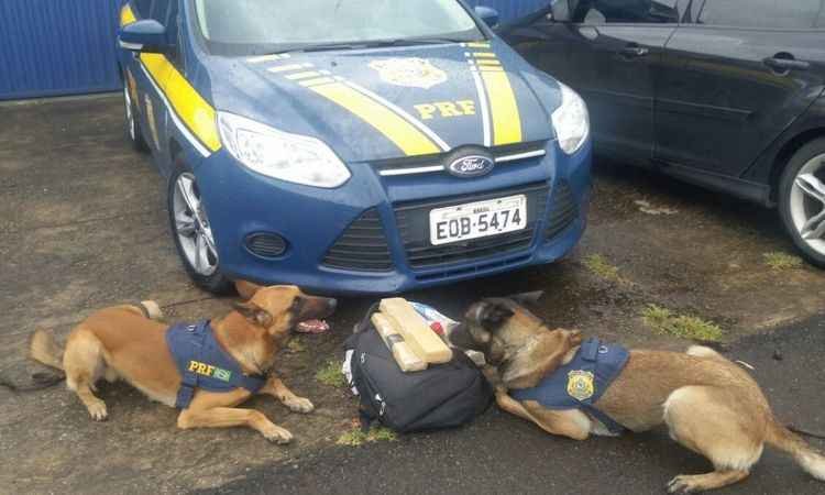 PRF apreende maconha que abasteceria traficantes de São Tomé das Letras em MG - PRF/Divulgação