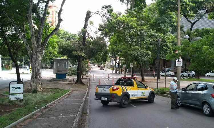 Árvore com risco de queda interrompe trânsito na Avenida Barbacena - Vinícius de Oliveira / BH Trans