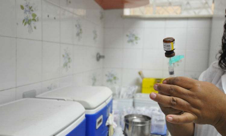 Mortes por febre amarela chegam a 145 em Minas, média de 1,5 por dia desde dezembro - Alexandre Guzanshe/EM/D.A.Press