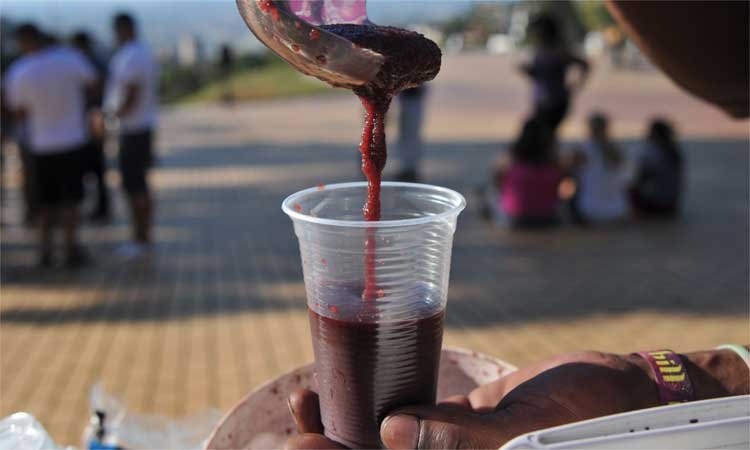 País testa geração de energia à base de açaí -  Rodrigo Clemente/EM/D.A Press - 19/09/15