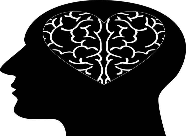 Como a competência emocional pode interferir na produtividade do profissional brasileiro - Pixabay/Divulgação