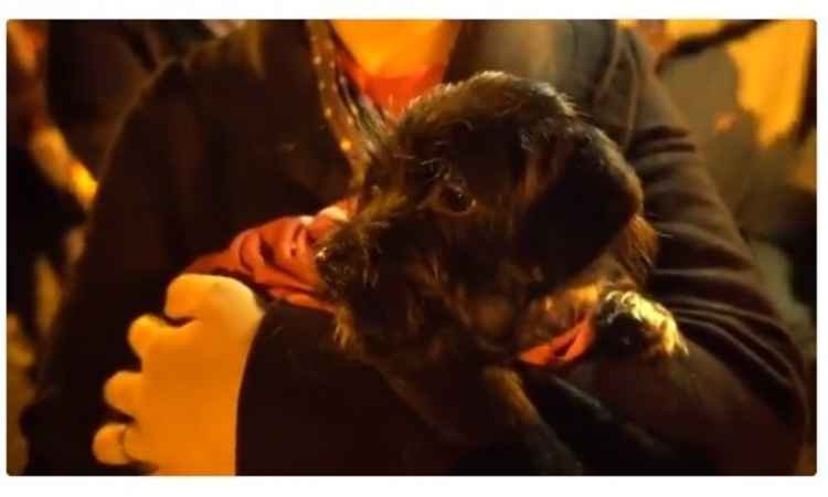 Resistência e Lulinha: Acampamento de Lula em Curitiba já tem até mascotes - Reprodução Twitter