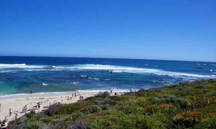 Etapa do Mundial de Surfe é cancelada após ataques de tubarões - Wikimedia Commons