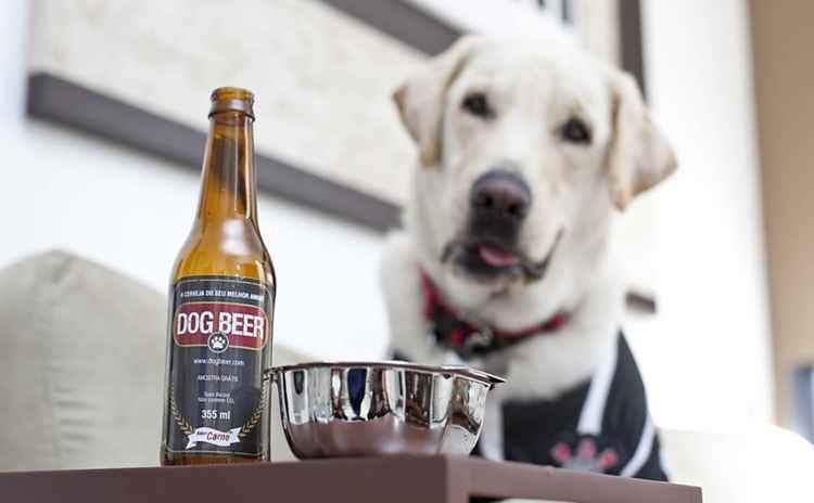 Muito além da ração e das frutas. Conheça a linha de cervejas, vinhos e até o kit de churrasco para os peludinhos - Grupo Ipet/Divulgação