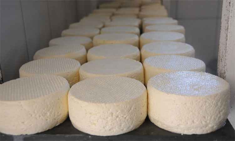 Projeto cria padrões de produção e venda do queijo Minas - Beto Novaes/EM/D.A Press