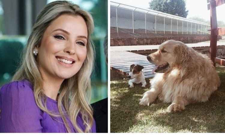 Segurança é afastada da guarda de Marcela Temer por não cuidar de cãozinho - Reprodução Instagram