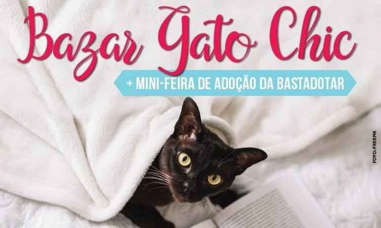 Bazar na Savassi quer ajudar entidade que protege animais