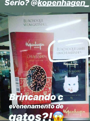 Marca de chocolates "brinca" com envenenamento de gatos e é detonada na web - Reprodução/Instagram