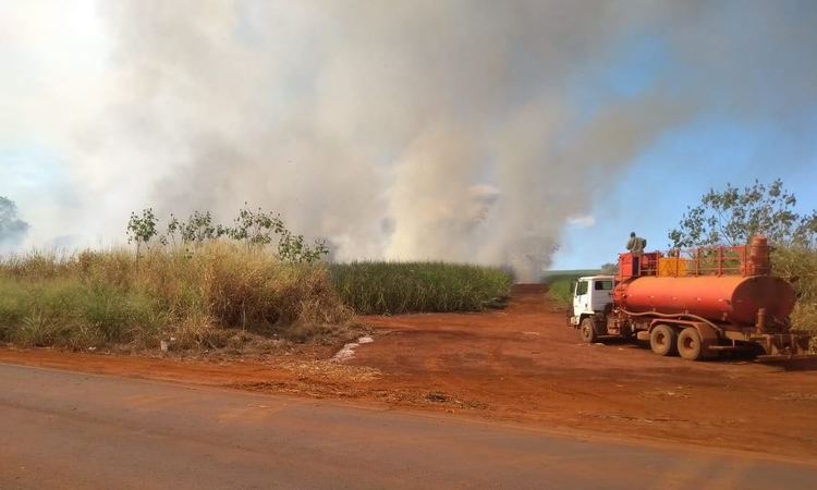 Incêndio criminoso em vegetação às margens de rodovia leva risco a motoristas no Triângulo Mineiro  - Corpo de Bombeiros/Divulgação