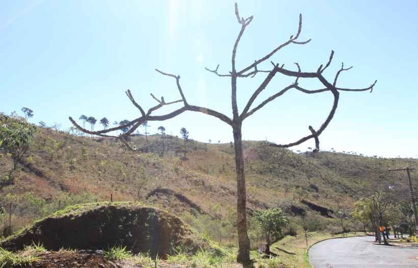 Área destinada a espaço de convivência no São Bento é tomada por lixo e entulho - Jair Amaral/EM/DA Press