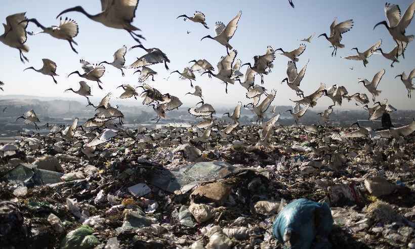 Humanidade esgotará recursos renováveis de 2018 em 1º de agosto - GULSHAN KHAN / AFP