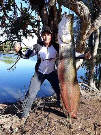 Comerciante pesca peixe com 1,65 metro de comprimento no Norte de Minas; veja vídeo - Reprodução/ Whatsapp