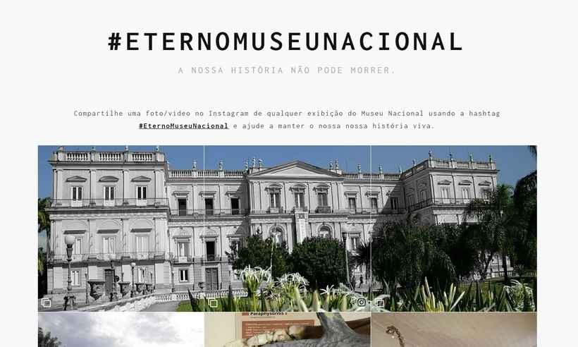 Página da internet tenta 'ressuscitar' o Museu Nacional  - Reprodução/ internet 