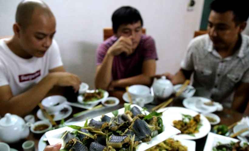 No Vietnã, serpentes são comidas fritas como salsichas - Nhac NGUYEN / AFP