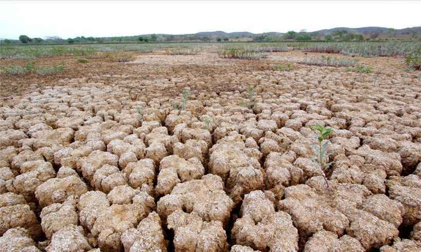 Corrida contra o relógio para ajustar lavouras ao tempo - Solon Queiroz - Esp. EM/D.A Press 29/10/15