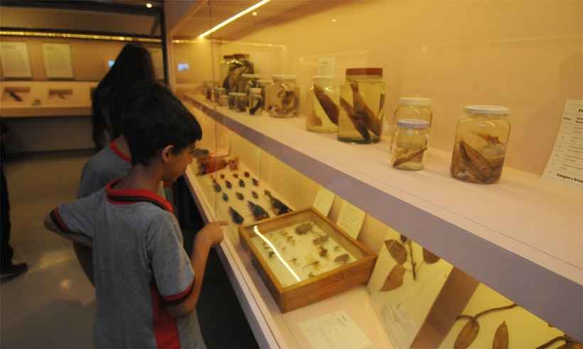 Espaço do Conhecimento UFMG celebra a educação nos museus - Túlio Santos/EM/DA Press