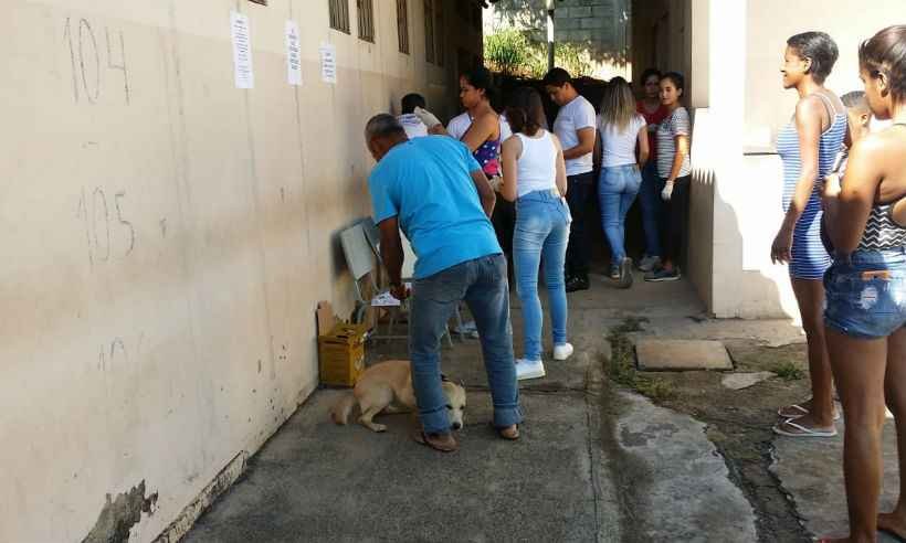 Veja onde levar cães e gatos para vacinar contra a raiva em BH neste sábado - Edesio Ferreira/EM/D.A.Press