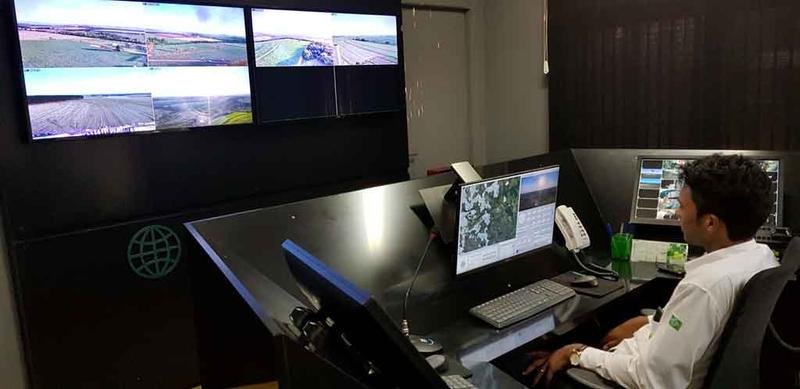 Plantação de cana-de-açúcar ajuda a diminuir prejuízos com fogo - Leandro Nascimento/Divulgação
