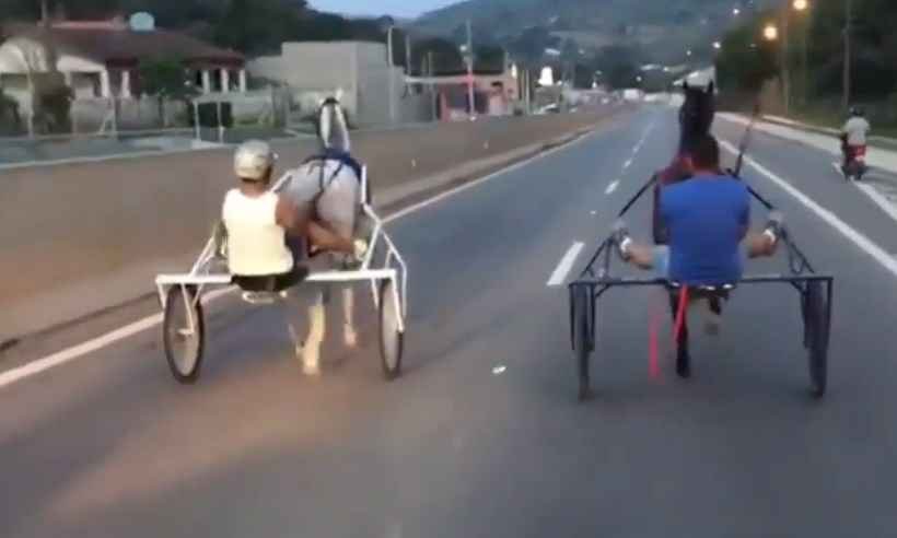 Polícia apura maus tratos em 'racha' de charretes em rodovia; veja vídeo - Reprodução/Youtube