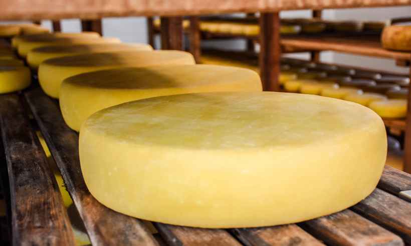 Proposta pretende incluir queijarias de três regiões de Minas no circuito de queijo artesanal - Franciely Eduarda/Divulgacao