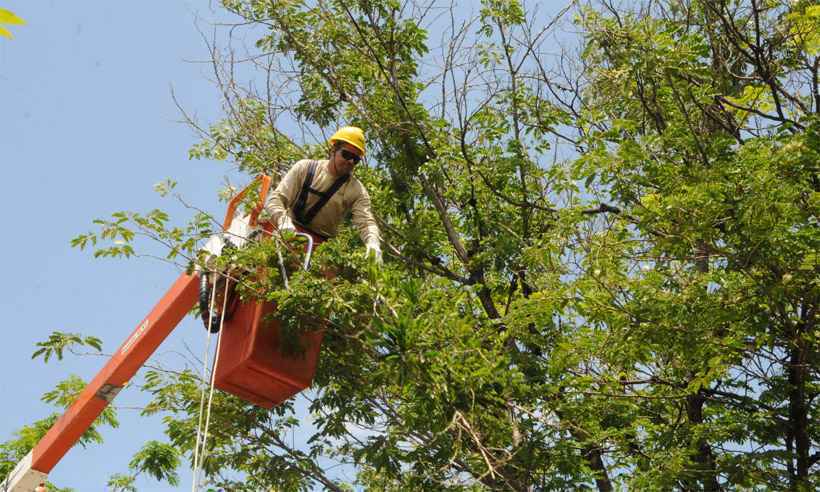PBH e Cemig aceleram podas de árvores para evitar acidentes na rede elétrica - Paulo Filgueiras/EM/DA Press