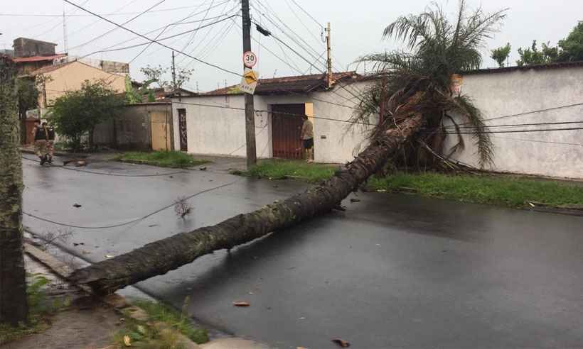 População reclama de falta d'água e energia após temporal na Grande BH - Alex Costa/Defesa Civil BH