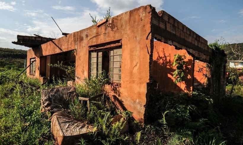 Natureza luta para ressurgir da lama três anos após tragédia de Mariana - Leandro Couri/EM/D.A PRESS