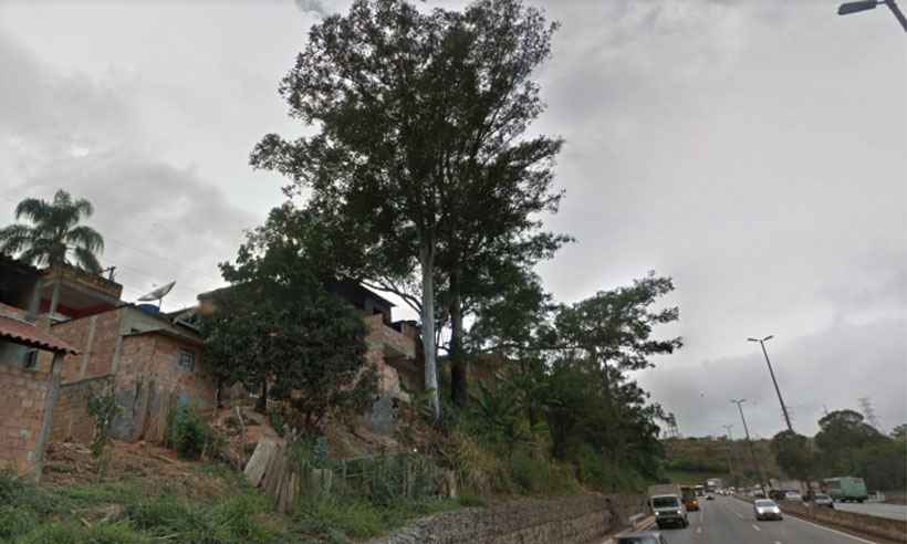 Anel Rodoviário será interditado para corte de árvore no domingo  - Reprodução da internet/Google Maps/Via 040