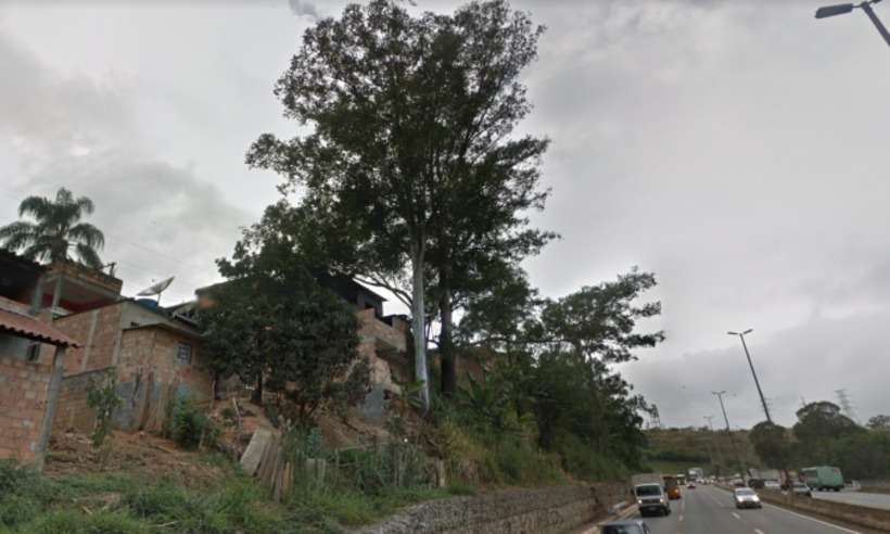 Anel Rodoviário é interditado para corte de árvore na descida do Betânia - Reprodução da Internet/Google Street View