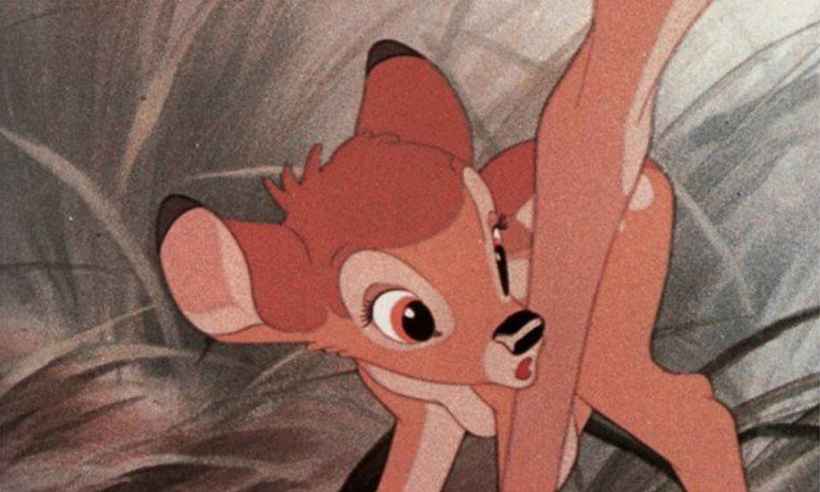 Caçador clandestino é condenado a ver 'Bambi' nos EUA - Divulgação