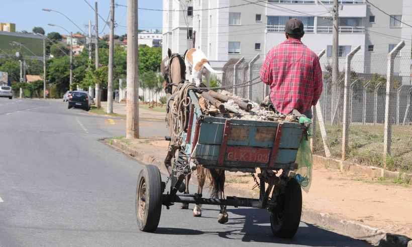 MPMG, BHTrans e PBH firmam acordo quanto à circulação de veículos de tração animal - Ramon Lisboa/EM
