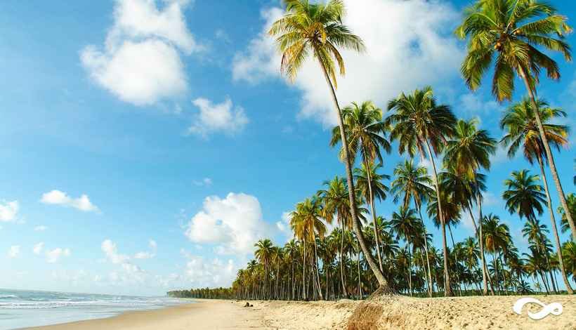 Governo federal publica lista de feriados e pontos facultativos nacionais em 2019 -  Divulgacao PRAIA DO PAIVA