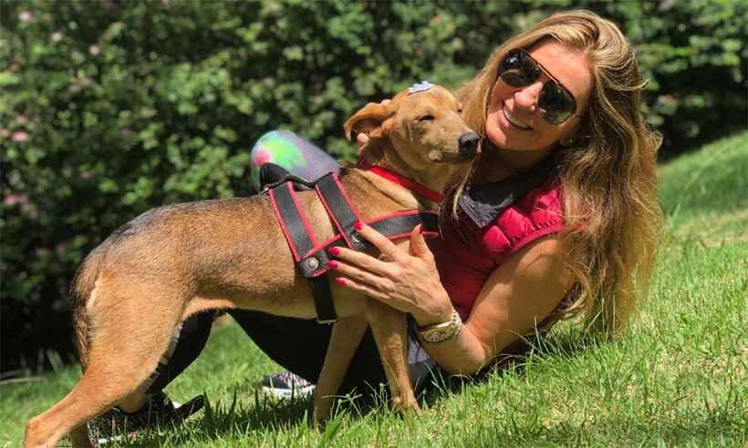Denúncias de violência contra animais crescem em Minas e no Brasil - Arquivo pessoal