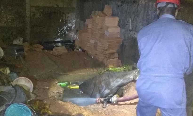 Cavalo cai em fossa com 3 metros de profundidade em Araguari - Corpo de Bombeiros/Divulgação